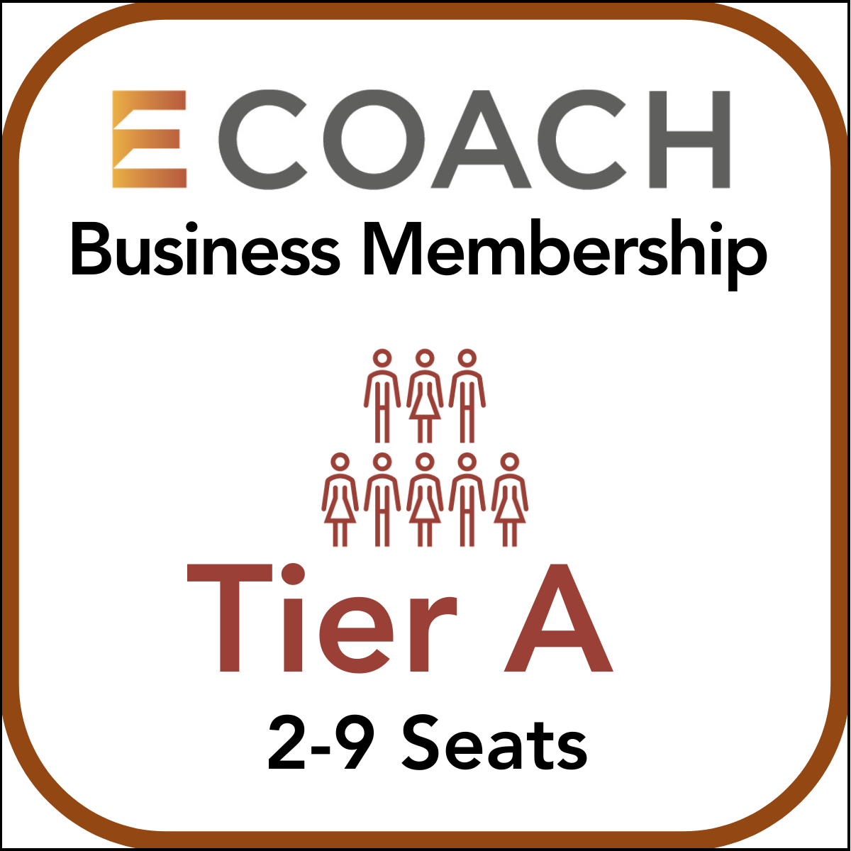 Business Plan Tier A (2-9)